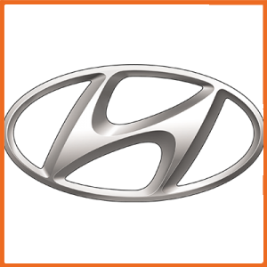 Hyundai Blow off Valves