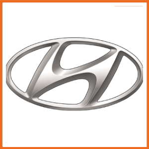 Hyundai Powerflex Bushes