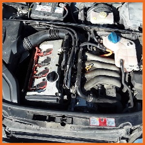 2.0L DOHC 20v ALT (‘00-’08)